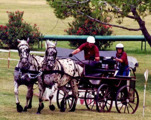 Combined Driving 2